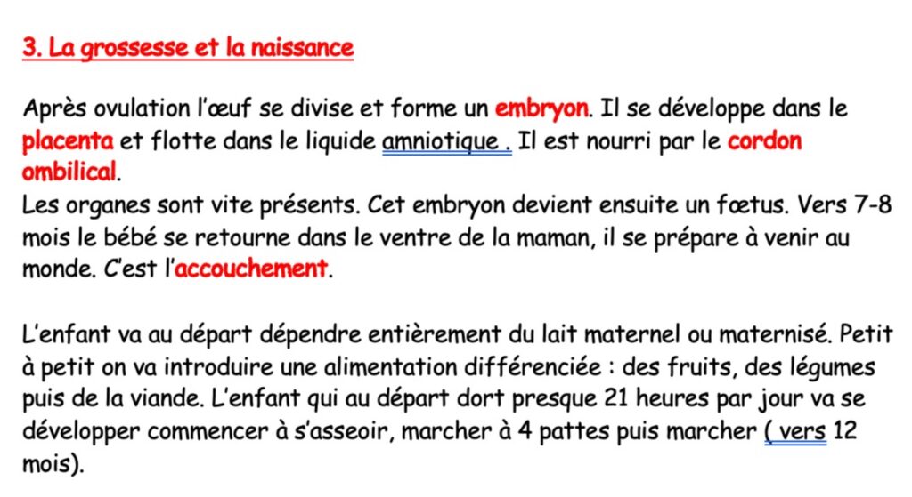 l'appareil reproducteur