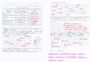 Lire la suite à propos de l’article Préparation Dictée n°22