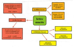 Lire la suite à propos de l’article O7 Les lettres muettes : carte mentale