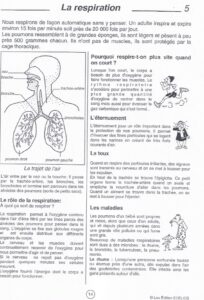 Lire la suite à propos de l’article S15 L’appareil respiratoire : fiche leçon (Edélios)