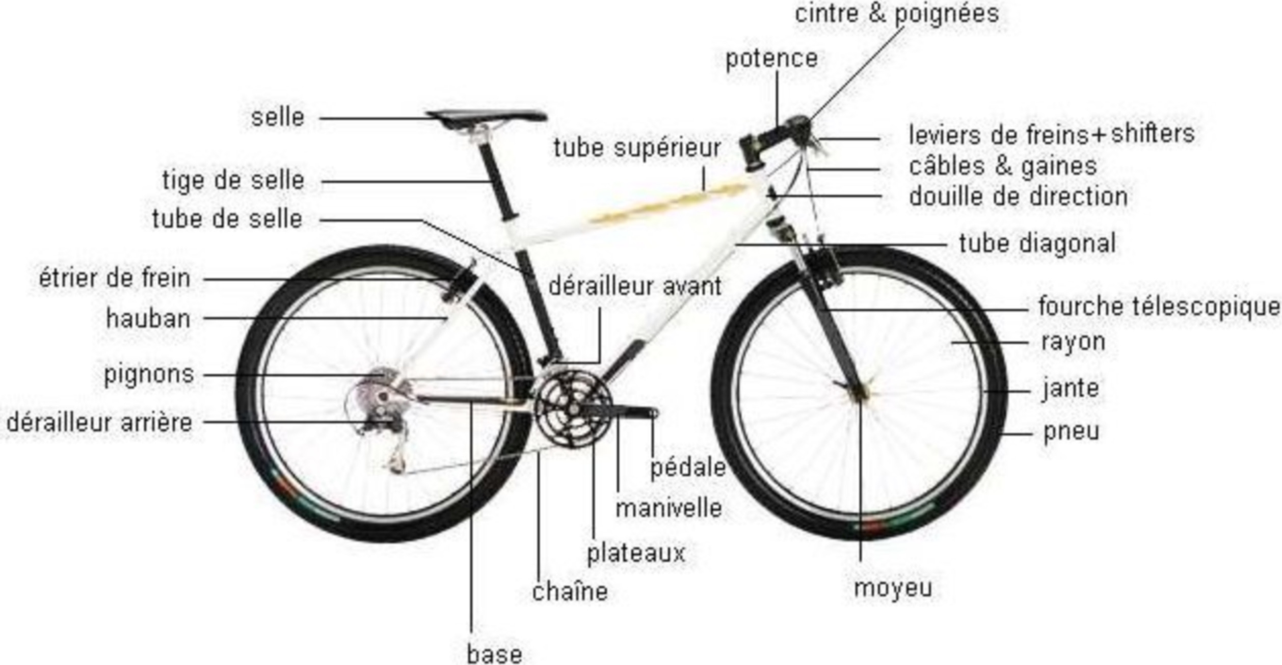 Lire la suite à propos de l’article Sciences : le schéma du vélo