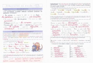 Lire la suite à propos de l’article Préparation dictée n°26