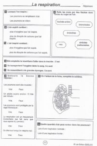 Lire la suite à propos de l’article S15 L’appareil respiratoire : fiche exercices (Edélios)