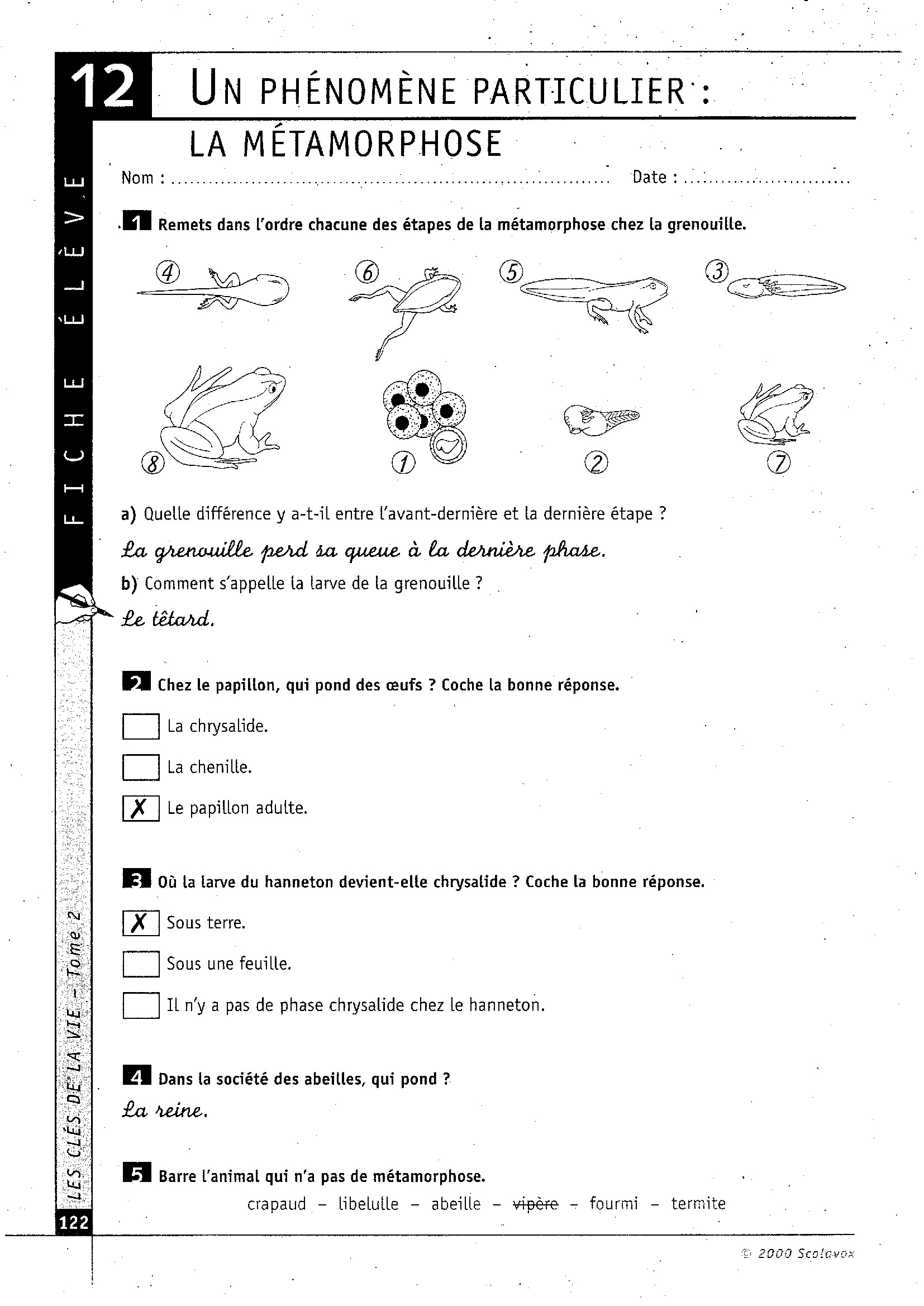 Lire la suite à propos de l’article S12 Le développement des animaux : fiche d’exercices n°2