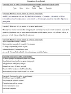 Lire la suite à propos de l’article C10-C11 Exercices sur le passé simple PS8