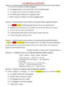 Lire la suite à propos de l’article G17 Les expansions du nom : zoom sur les adjectifs épithètes