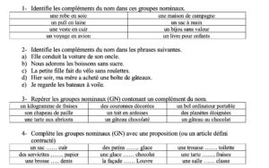 Lire la suite à propos de l’article G17 Les expansions du nom : zoom sur les compléments du nom (1)