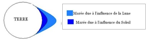 Les marées