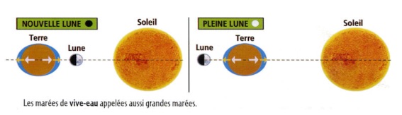 Les marées
