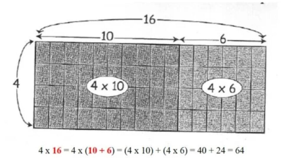 La multiplication en ligne