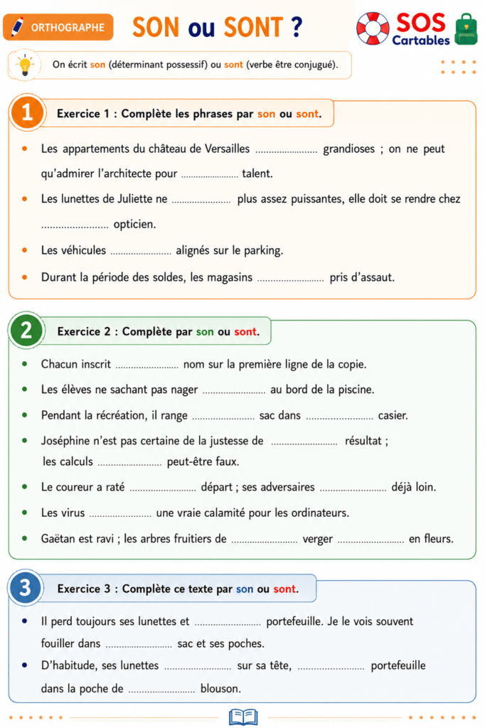 exercices homophones son et sont CM1 CM2 - fiche 2
