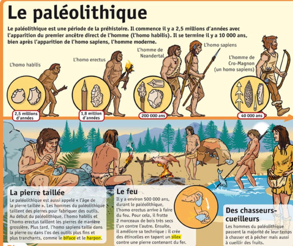 Le Paléolithique