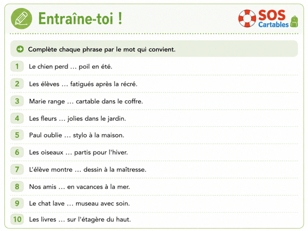 Exercices sur les homophones grammaticaux son et sont CM1 CM2