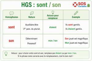 Lire la suite à propos de l’article HG3 Les homophones son sont : série d&rsquo;exercices