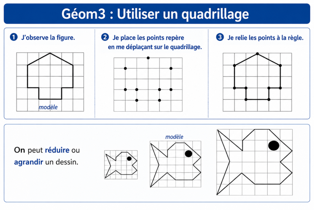quadrillages,cases