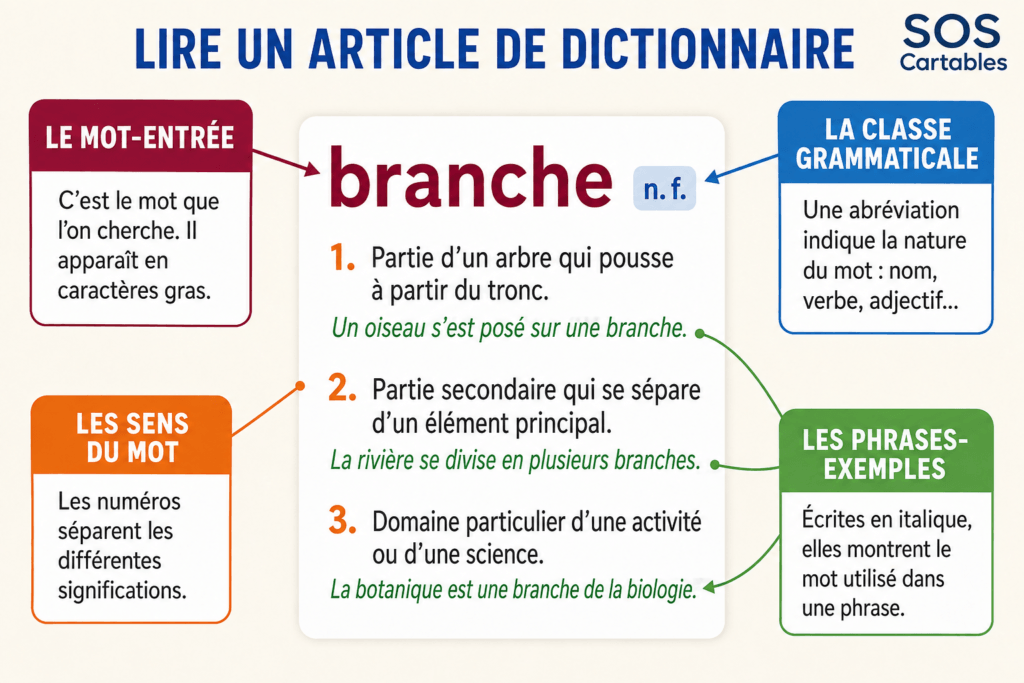 Le dictionnaire : leçon complète CM1 CM2 4 Lire un article de dictionnaire