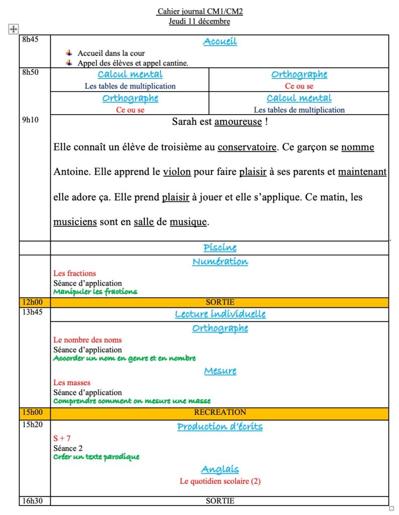 progression CM1 CM2 Semaine 13,cahier journal