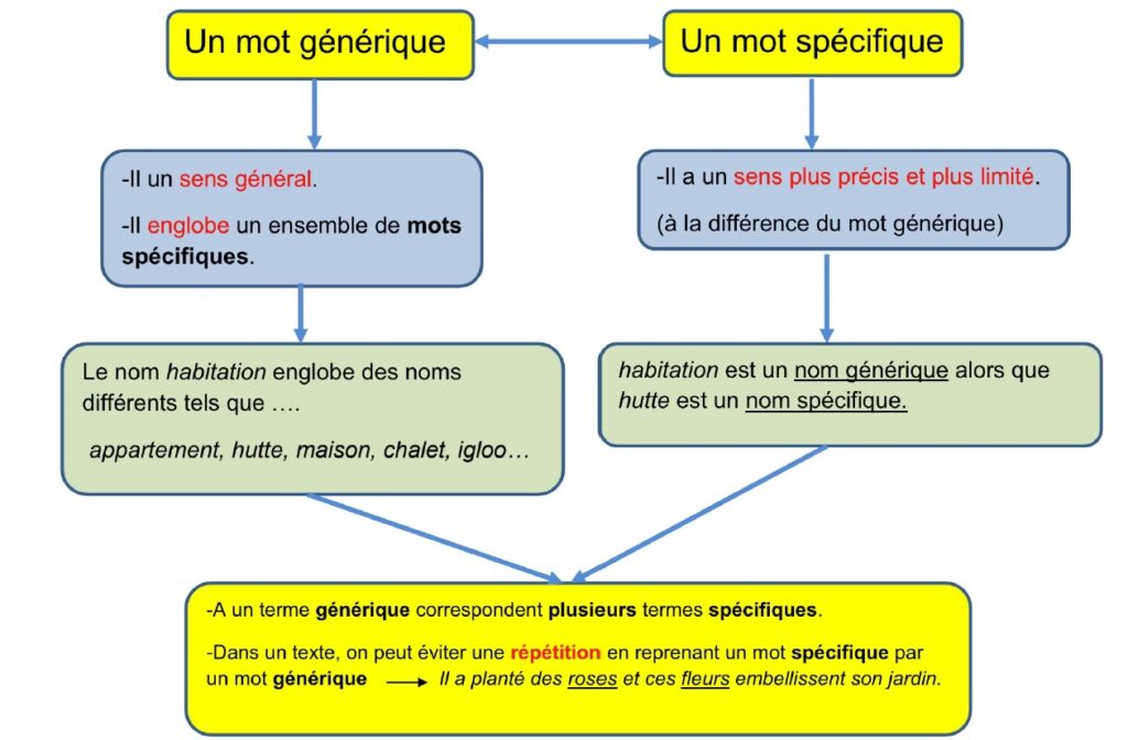 V7 Exercices sur les termes spécifiques et génériques 2 termes spécifiques et termes génériques