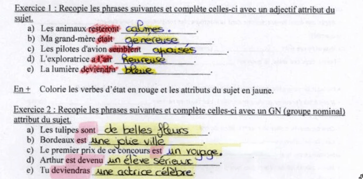 correction des exercices sur les  attributs du sujet CM1 CM2