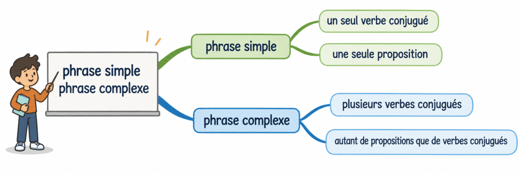 Exercices phrases simples et complexes CM1 CM2 : corrigés gratuits avec propositions 3 Carte mentale phrases simples et complexes CM1 CM2