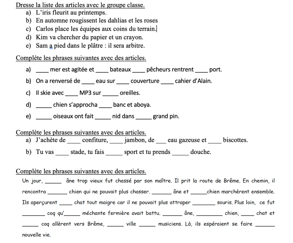exercices articles cm1 cm2,articles définis,articles définis ou indéfinis,exercices sur les articles