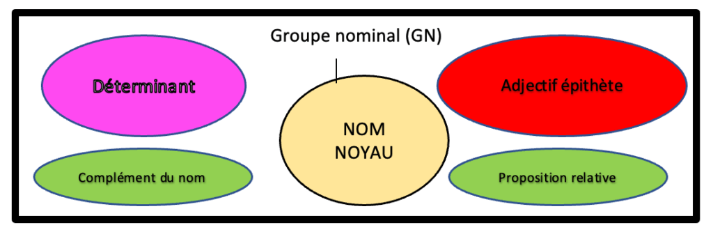leçon groupe nominal CM1 CM2 nom noyau déterminant expansions du nom
