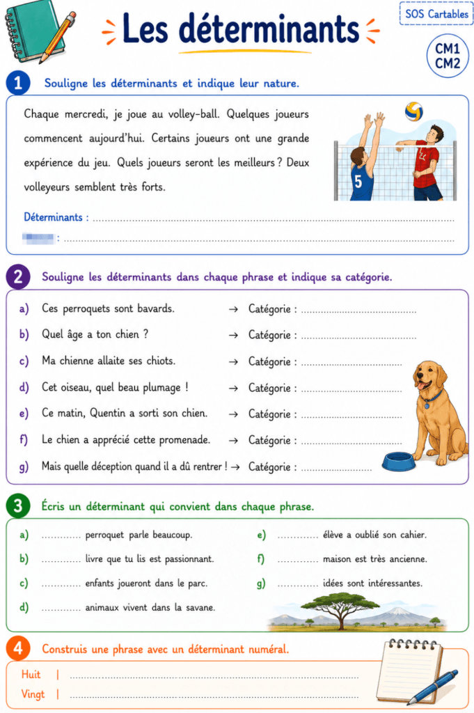 Exercices autres déterminants CM1 CM2 : indéfinis, numéraux, exclamatifs et corrigés gratuits 4 Exercices autres déterminants CM1 CM2 Série 3