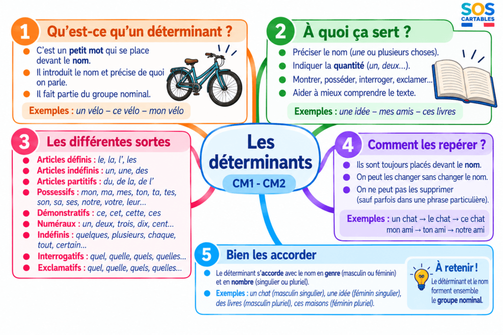 Leçon les déterminants CM1 CM2 : articles, possessifs, démonstratifs gratuite 3 déterminants cm1 cm2,articles,déterminant possessif,déterminant démonstratif,article défini