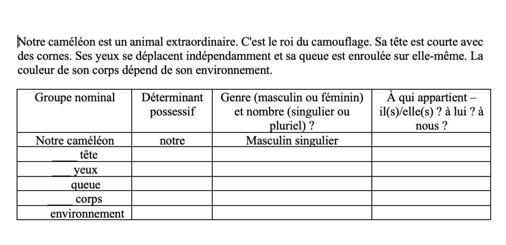 exercices déterminants possessifs CM1 CM2 Approche