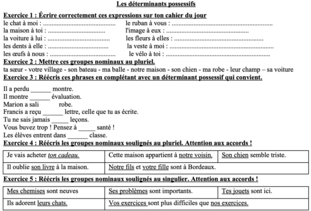 exercices déterminants possessifs CM1 CM2 Fiche 1