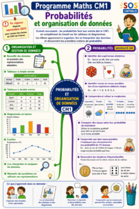 Lire la suite à propos de l’article Nouveaux programmes Maths CM1 : Probabilités et Organisation de données