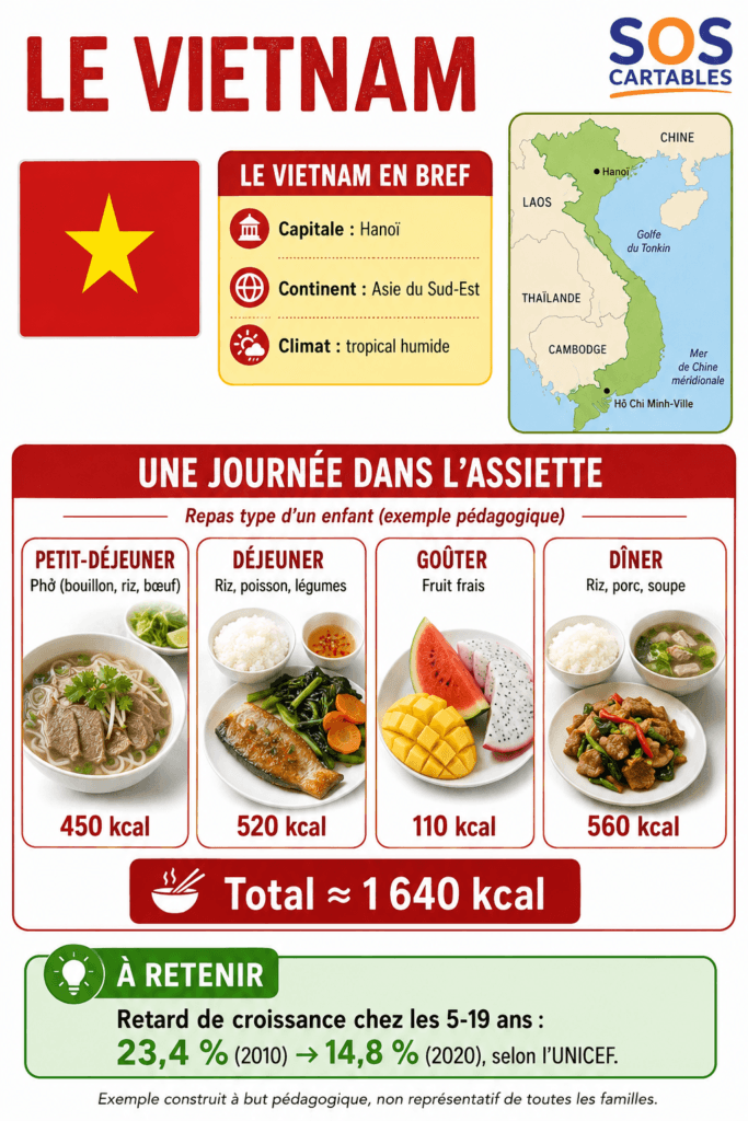 Se nourrir : les inégalités alimentaires dans le monde CM1 4 les inégalités alimentaires,malnutrition,sous-nutrition,alimentation